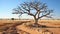 Arid climate, sand dune, acacia tree, wildlife reserve generated by AI