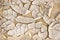 Arid cracked desert like river bed ground texture after a drought large detailed textured horizontal macro closeup pattern