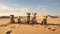 arid desert dogs