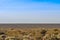 Arid desert of La Pampa, Argentina