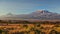 Arid dry African savanna in late evening with Mount Kilimanjaro