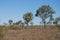 Arid, dry landscape, Outback Queensland, Australia