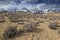 Arid foothills of Sierra Nevada mountains