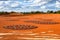 Arid Garden at Royal Botanic Gardens in Cranbourne.