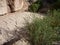 Arid ground in cotahuasi canyon