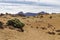 Arid igneous landscape with sparse greenery