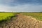 The arid land at paddy field.