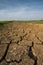 The arid land at paddy field.