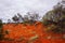 Arid Lands, Roxy Downs, outback South Australia