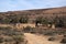 Arid landscape with abandoned shearing shed and quarters in distance