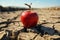 Arid landscape apple on cracked soil depicts food insecurity, water shortage, agricultural crisis