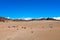 Arid landscape, Lanzarote island, Spain