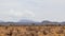 The arid landscapes of Samburu National Park, Kenya