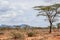 The arid landscapes of Samburu National Park, Kenya