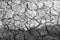 Arid nature. Closeup Crack soil black and white