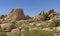 Arid Panorama in the Desert Spring