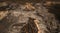 Arid remote badlands with erosional features in the semi-desert during golden hour. Aerial view