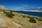 Arid shoreline with some durable shrubs and grass near Sveta Maria beach on Pag island, northern Dalmatia, Croatia, Adriatic