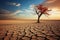 Arid solitude lone tree in the midst of a cracked desert landscape