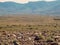 Arid stony landscape in the Karoo National Park, South Africa