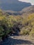 Arid stony landscape in the Karoo National Park, South Africa
