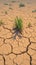 Arid summer scene parched ground, cracked and devoid of moisture