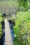 Arieal view of A bridge in swamp