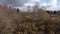 Ariel 4K drone footage of UK parkland landscape during springtime