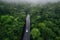 Ariel view of the road in the forest