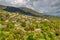 Aristi village, in Zagori region, Epirus, Greece