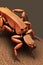 Arizona Bark Scorpion Animal. AI Generated.