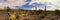 Arizona desert cactus and mountains panorama