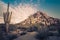 Arizona desert cactus tree landscape