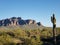 Arizona Desert Life Superstition Mountains