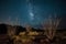 Arizona Desert with Ocotillo and Milky Way