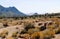 Arizona- Desert Panorama of Mountains, Rocks and Plants