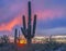 Arizona desert sunset with saguaro cactus.