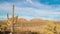 Arizona desert time lapse with stately saguaro cactua