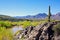 Arizona Desert and Verde River Landscape