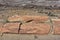 Arizona Landscape with Fallen Petrified Logs on the Desert Floor