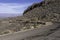 Arizona landscape in summer