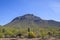 Arizona Mountain, Rock Formations Covered In Desert Plants