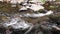 Arizona, Oak Creek Canyon, A close up of tiny rapids and water flowing over rocks in Oak Creek