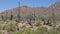 Arizona Saguaro National Park This is a pan right to left across the desert and the saguaro cactus