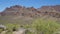 Arizona Saguaro National Park A view of mountains and cacti in the Saguaro National Park