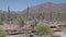 Arizona Saguaro National Park A wide shot of the desert at the Saguaro National Park