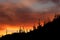 Arizona Saguaro Sunset Silhouettes