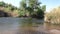 Arizona, Salt River, a view of the salt river flowing around bushes and trees