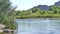 Arizona, salt river, a wide view of two wild horses drinking in the salt river