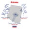Arizona. Set of USA official state symbols